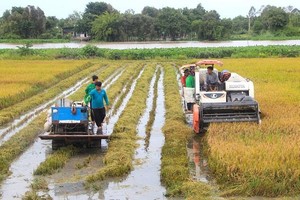 Tập đoàn Lộc Trời (LTG) chuyển nhượng tất cả vốn góp tại 5 công ty con