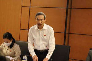 Đại biểu Phan Đức Hiếu, Ủy viên Thường trực Ủy ban Kinh tế của Quốc hội phát biểu tại tổ - (Ảnh HD). 