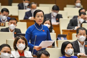 Đại biểu Nguyễn Thị Kim Thúy (Đà Nẵng) phát biểu tại hội trường.