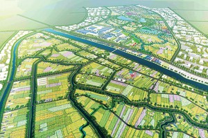 Trong giai đoạn 2011-2020, tình trạng quy hoạch treo và sử dụng lãng phí đất đai diễn ra phổ biến