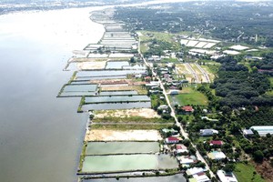 Cam Lâm đang âm ỉ sốt. Ảnh: Lê Toàn