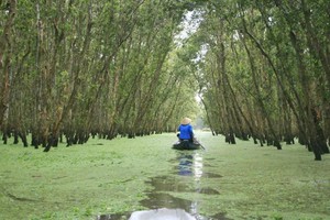 Rừng tràm An Giang