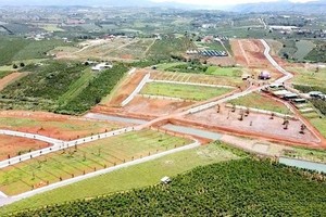 Thành phố Bảo Lộc, tỉnh Lâm Đồng trở thành "điểm nóng" về vấn nạn phân lô, bán nền trong thời gian qua.