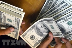 Đồng 100 USD. (Ảnh: AFP/TTXVN)