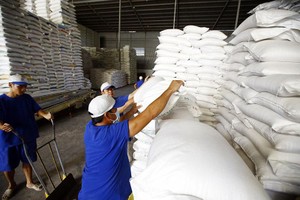 Nhiều điều kiện kinh doanh gây cản trở xuất khẩu gạo đã bị bãi bỏ, nay lại được đề xuất trở lại. Ảnh: Đức Thanh