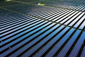 Phục hồi bền vững với tài chính xanh