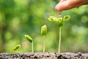 Các lựa chọn chính sách thực hiện mục tiêu phát triển bền vững ở Việt Nam