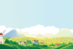 Đánh giá báo cáo thường niên năm 2021