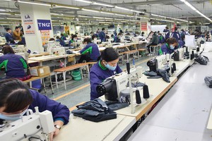 TNG: Lợi nhuận sau thuế cả năm đạt gần 233 tỷ đồng