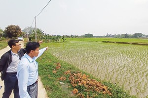 “Mê lực” đất nền