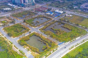 Cử tri lo lắng về tình trạng sốt đất ảo, thông thầu, bắt tay ngầm trong các cuộc đấu giá đất (ảnh minh họa) 