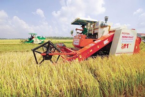 Làm nên kỳ tích xuất siêu và lập đỉnh xuất khẩu trong năm 2021, nông nghiệp tiếp tục là điểm tựa vững chắc của nền kinh tế năm 2022