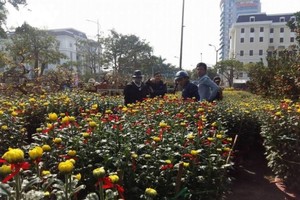 Chợ hoa Tết Nhâm Dần năm 2022 tổ chức khu vực Quảng trường 2/9, từ ngày 22/1 - 21h ngày 31/1 (tức từ ngày 20 đến hết ngày 29 tháng Chạp).