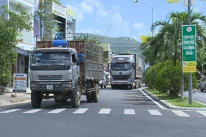 Quốc lộ 19C là trục giao thông đi qua địa phận 3 huyện miền núi Đồng Xuân, Sơn Hòa, Sông Hinh của tỉnh Phú Yên kết nối với tỉnh Bình Định, tỉnh Đắk Lắk mà cử tri Phú Yên kiến nghị được sớm thi công đường tránh qua thị trấn La Hai (Đồng Xuân).