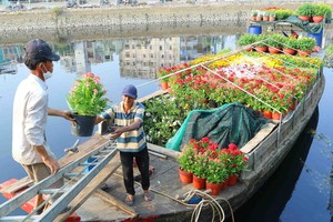 Chợ hoa xuân "trên bến dưới thuyền" nhộn nhịp trước ngày khai hội