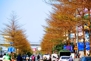 Một thoáng châu Âu giữa lòng Hà Nội