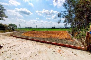 Đà Nẵng: Cảnh báo làm thủ tục chuyển đổi mục đích sử dụng đất trên… Zalo, Facebook