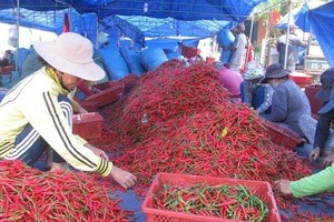 Xuất khẩu sang Trung Quốc phục hồi, doanh nghiệp phấn khởi