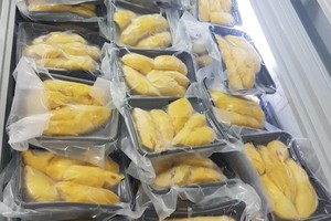 Trái cây cấp đông của Việt Nam phải đăng ký xuất khẩu sang Trung Quốc