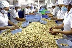 Bộ Công thương khuyến cáo doanh nghiệp khi tham gia hoạt động xuất khẩu cần kiểm tra, xác thực kỹ đối tác qua nhiều kênh khác nhau.