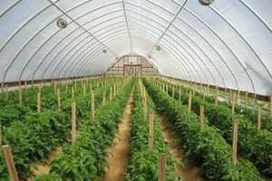 Phú Yên: Năm 2022 thu hút đầu tư vào 5 lĩnh vực trọng điểm