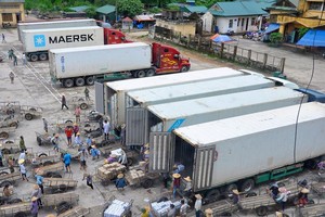 Doanh nghiệp, hộ, cá nhân kinh doanh nhiều ngành, trong đó có vận tải, kho bãi, sẽ được lui hận nộp nhiều loại thuế.