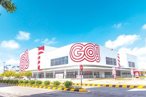 Hệ thống trung tâm thương mại GO! đang được đẩy mạnh phát triển tại Việt Nam. Ảnh: Thành Nguyễn 