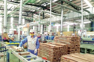 Trong bối cảnh đó, doanh nghiệp đang cố gắng tìm cách duy trì sản xuất, giữ chân lao động có tay nghề và tính toán lại từng công đoạn sản xuất nhằm giảm chi phí.