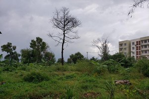 Nhiều khu đất ở Đà Nẵng trong tình trạng "treo" nhiều năm. Ảnh: P.V