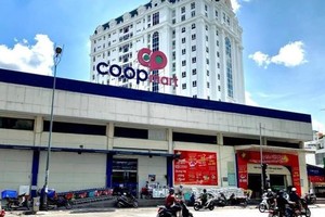 Ủy ban Kiểm tra Trung ương quyết định thi hành kỷ luật Cảnh cáo Ban Thường vụ Đảng ủy Liên hiệp Hợp tác xã Thương mại Thành phố Hồ Chí Minh nhiệm kỳ 2015 - 2020