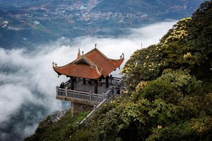 Hoa đỗ quyên nở rộ trên đỉnh Fansipan đúng dịp 30/4-1/5