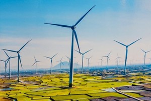 Điện gió có lúc chỉ phát được 15 MW trên tổng công suất đặt 4.000 MW