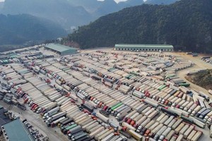 Ùn ứ container nông sản Việt Nam tại cửa khẩu phía Bắc.