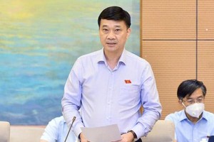 Chủ nhiệm Ủy ban Kinh tế Vũ Hồng Thanh.