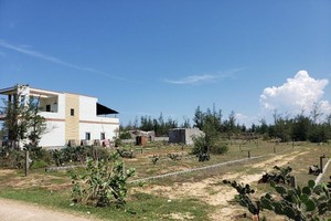 Quảng Ngãi yêu cầu khẩn trương duyệt quy hoạch các khu tái định cư