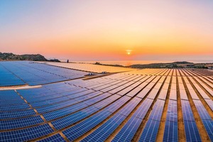 IFC là nhà đầu tư tiên phong trong phát triển năng lượng mặt trời tại Việt Nam