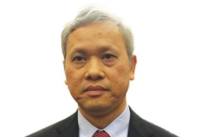 TS. Nguyễn Bích Lâm, nguyên Tổng cục trưởng Tổng cục Thống kê