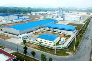 Chính phủ bổ sung cơ chế đặc thù quản lý đầu tư cụm công nghiệp tại TP Đà Nẵng. Ảnh minh hoạ