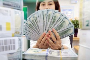 Ngân hàng đang chịu rủi ro rất lớn đối với các khoản vay thế chấp Ảnh: Đức Thanh