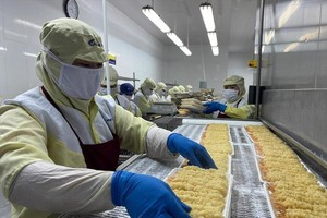 EVFTA bắc cầu để xuất khẩu tôm Việt Nam sang EU tăng 50%