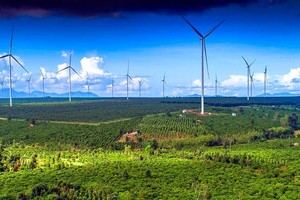 Tỉnh Gia Lai có tiềm năng lớn về điện gió và điện mặt trời.