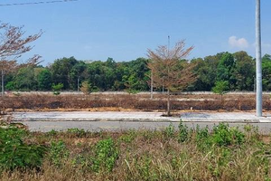 Kon Tum: Nhiều lô đất bỏ hoang sau khi đấu giá
