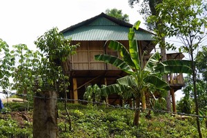 Khu đất rừng phòng hộ bị chiếm để dựng nhà sàn của bà Trương Thị Lệ Thâm ở xã Vĩnh Hảo, huyện Vĩnh Thạnh. Ảnh DT