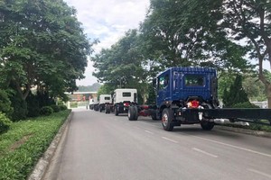 6 tháng đầu năm 2022, VEAM đạt kim ngạch xuất khẩu 24,3 triệu USD.