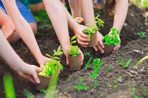 Chiến lược đề ra mục tiêu xây dựng một nền nông nghiệp thông minh, hiện đại, thích ứng hiệu quả với biến đổi khí hậu và có giá trị gia tăng cao.