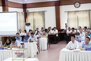 Hoạt động đấu giá đất cần minh bạch, hiệu quả hơn. Ảnh: Dũng Minh 