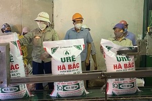 Đạm Hà Bắc hiện còn nợ khoảng 6.400 tỷ đồng và trên 112 triệu USD.