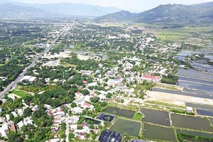 Quy hoạch đang nằm trên giấy, thì nhiều đối tượng đã lợi dụng để đẩy giá đất lên trục lợi, gây nhiễu loạn thị trường