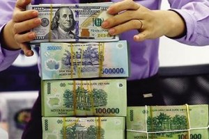 Lộ trình tăng lãi suất của Fed gây áp lực lên tỷ giá