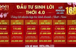 Bảng lợi nhuận hấp dẫn của bất động sản Nhật Nam khiến nhiều nhà đầu tư lóa mắt.
